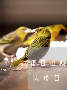 借唄逾期一天還可以用嗎(借唄逾期1天還可以借嗎)
