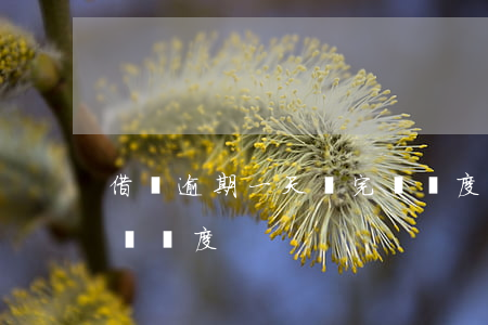 借唄逾期一天還完漲額度(借唄逾期一天還完漲額度)