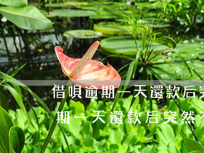 借唄逾期一天還款后突然不能用了-借唄逾期一天還款后突然不能用了怎么回事