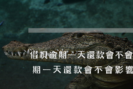 借唄逾期一天還款會不會影響征信-借唄逾期一天還款會不會影響征信記錄