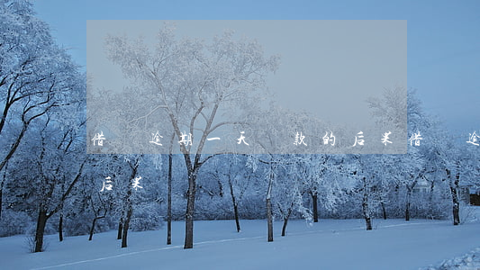 借唄逾期一天還款的后果(借唄逾期一個星期后果)
