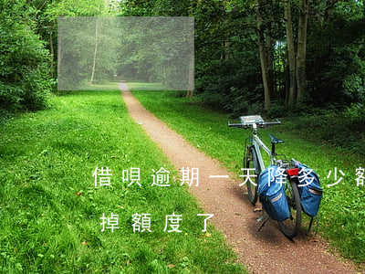 借唄逾期一天降多少額度(借唄逾期半天怎么掉額度了)