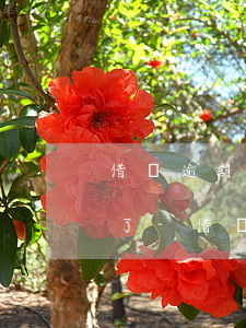 借唄逾期一小時還清后直接關(guān)了-借唄逾期一小時還清后直接關(guān)了會怎么樣