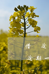 借唄逾期一年了罰息一萬多(借唄15000逾期一年罰多少)