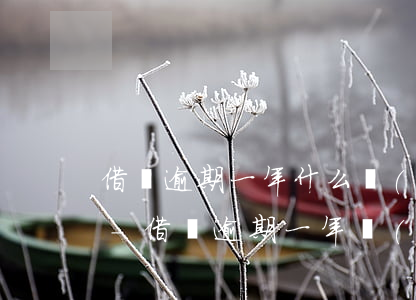 借唄逾期一年什么時(shí)候重新開通-借唄逾期一年會(huì)怎么樣了