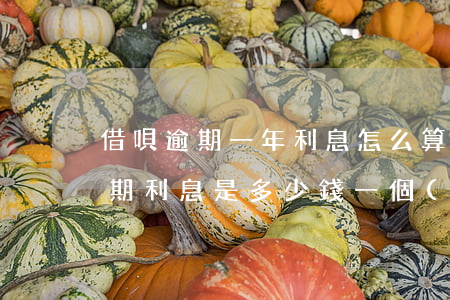 借唄逾期一年利息怎么算(支付寶借唄如果逾期,利息是多少錢一個(gè)月)