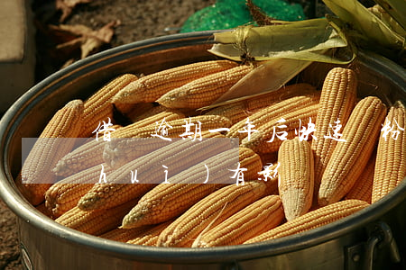 借唄逾期一年后快速漲粉(借唄逾期一天會(huì)有影響嗎)