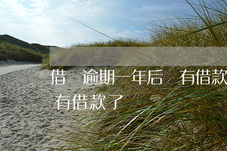 借唄逾期一年后沒有借款(借唄逾期一年后沒有借款了)
