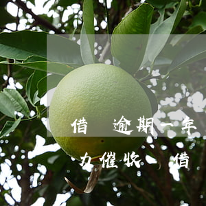 借唄逾期一年多了會(huì)被起訴嗎,暴力催收-借唄逾期一年多了會(huì)被起訴嗎,暴力催收怎么辦