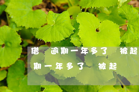 借唄逾期一年多了會被起訴嗎上門-借唄逾期一年多了會被起訴嗎上門催收