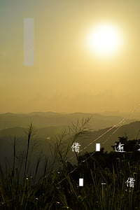 借唄逾期一年多可以協(xié)商還本金嗎-借唄逾期一年多可以協(xié)商還本金嗎