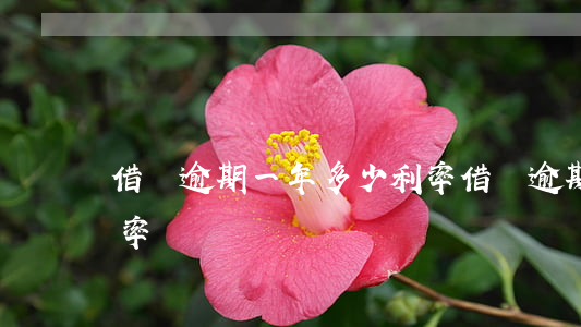 借唄逾期一年多少利率(借唄逾期一年多少利率)