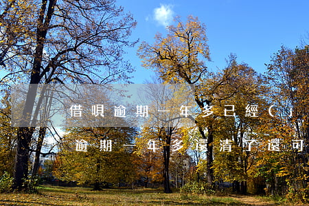 借唄逾期一年多已經(jīng)還清(借唄逾期一年多還清了還可以辦儲(chǔ)蓄卡嗎)