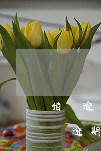 借唄逾期一年影響助學(xué)貸款嗎(借唄逾期一年影響征信嗎)