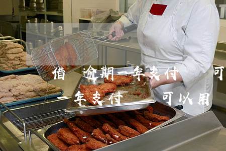 借唄逾期一年支付寶還可以用嗎-借唄逾期一年支付寶還可以用嗎安全嗎