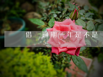 借唄逾期一年是不是網(wǎng)黑了