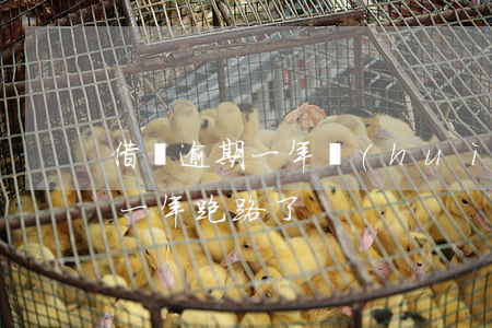借唄逾期一年會(huì)上門嗎（借唄逾期一年跑路了）