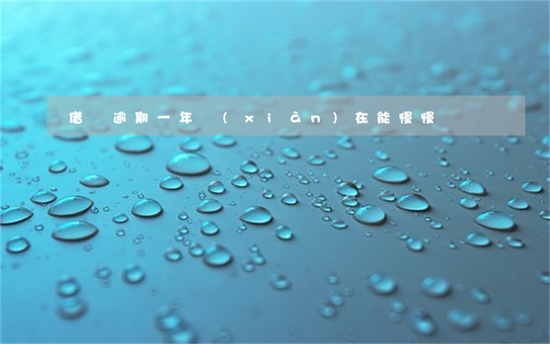 借唄逾期一年現(xiàn)在能慢慢還嗎