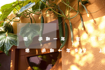借唄逾期一年還完還可以繼續(xù)用-借唄逾期一年多了,還上之后還能用借唄嗎?一