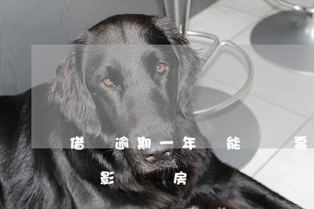 借唄逾期一年還能買機票嗎(借唄逾期過一天會影響買房嗎?)