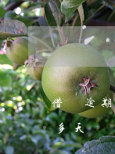借唄逾期一期500元利息(借唄逾期500多天)