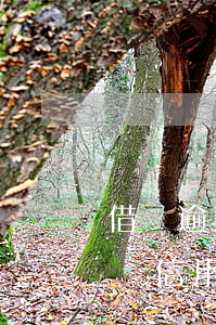 借唄逾期一次可以辦信用卡嗎(借唄逾期可以辦信用卡嗎?)