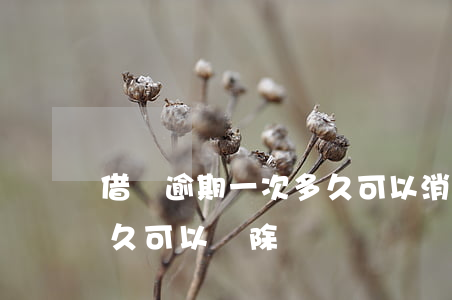 借唄逾期一次多久可以消除(借唄逾期一天多久可以刪除)