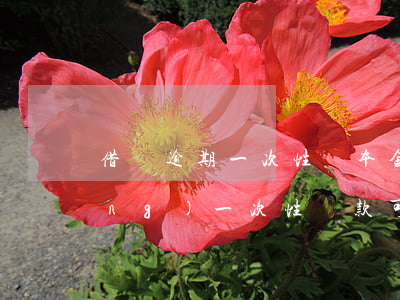 借唄逾期一次性還本金(借唄逾期申請(qǐng)一次性還款可以免罰息嗎)