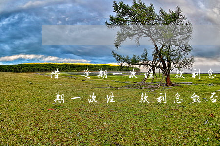 借唄逾期一次性還款利息能否減免-借唄逾期一次性還款利息能否減免呢