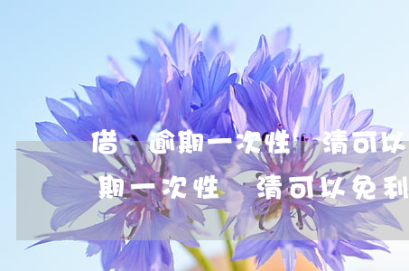 借唄逾期一次性還清可以免利息嗎-借唄逾期一次性還清可以免利息嗎