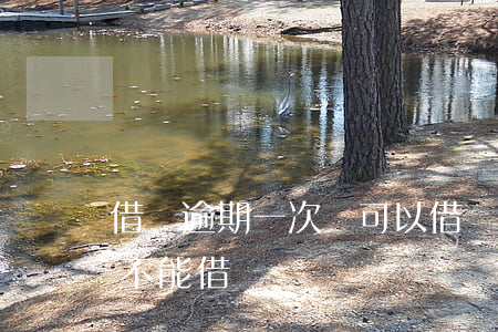 借唄逾期一次還可以借嗎(借唄逾期一周還能不能借)