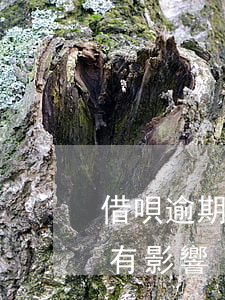 借唄逾期一次額度會沒嗎(借唄逾期一次有沒有影響)