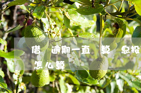 借唄逾期一直計算罰息投訴(借唄的逾期罰息怎么算)