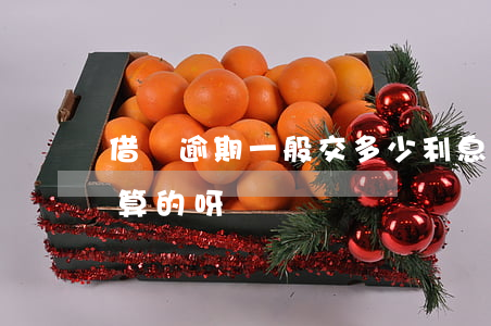借唄逾期一般交多少利息(借唄逾期利息怎么算的呀?)