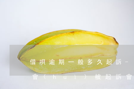 借唄逾期一般多久起訴-借唄一般逾期多久會(huì)被起訴會(huì)收到判決書一