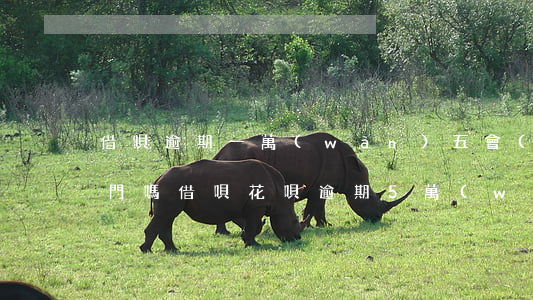 借唄逾期一萬(wàn)五會(huì)上門嗎(借唄花唄逾期5萬(wàn)3個(gè)月,工作人員要求上門拜訪,是真的嗎)