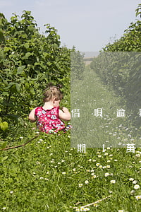 借唄逾期一萬(wàn)八多久起訴(借唄逾期1萬(wàn)七千多二年了會(huì)被起訴嗎)