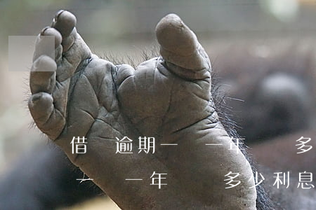 借唄逾期一萬一年沒還多少利息-借唄逾期一萬一年沒還多少利息了