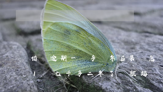 借唄逾期一萬多兩年后果會怎樣-借唄逾期1萬七千多二年了會被起訴嗎