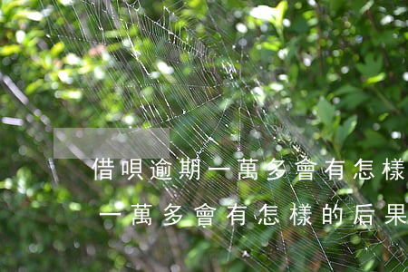 借唄逾期一萬多會有怎樣的后果-借唄逾期一萬多會有怎樣的后果呢