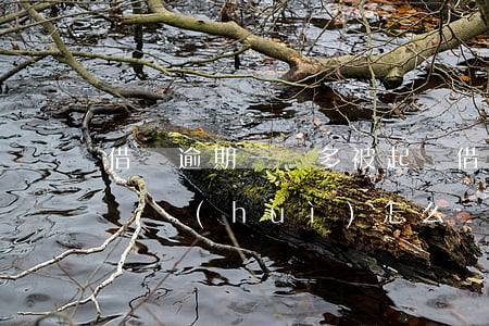 借唄逾期一萬多被起訴(借唄逾期一萬多被起訴會(huì)怎么樣)