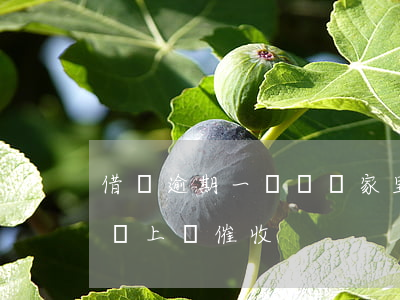 借唄逾期一萬會來家里嗎(借唄逾期2萬會不會上門催收)