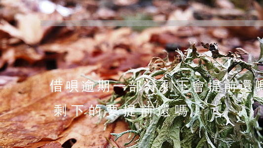 借唄逾期一部分剩下會提前還嗎(借唄逾期了剩下的要提前還嗎)