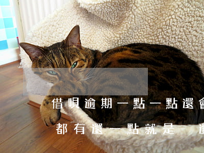 借唄逾期一點一點還會起訴嗎(借唄逾期每月都有還一點就是沒還完會不會)