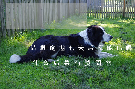 借唄逾期七天后還能借嗎(借唄逾期7天會有什么后果?,有獎問答)
