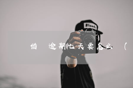 借唄逾期七天要怎么協(xié)商