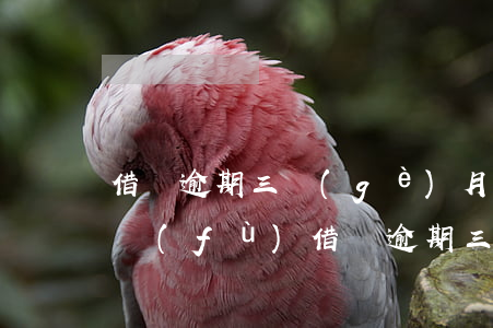 借唄逾期三個(gè)月何時(shí)恢復(fù)(借唄逾期三個(gè)月何時(shí)恢復(fù))