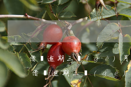 借唄逾期三個(gè)月后如何催收(支付寶借唄逾期三個(gè)月會(huì)去家里催收嗎?)
