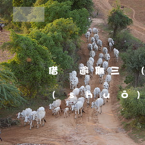 借唄逾期三個(gè)月發(fā)短信說(shuō)要走法庭-借唄逾期三個(gè)月發(fā)短信說(shuō)要走法庭是真的嗎