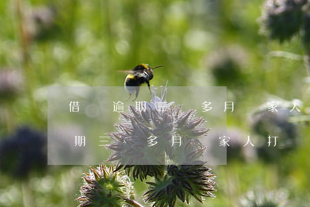 借唄逾期三個多月給家人打電話了-借唄逾期三個多月給家人打電話了怎么辦